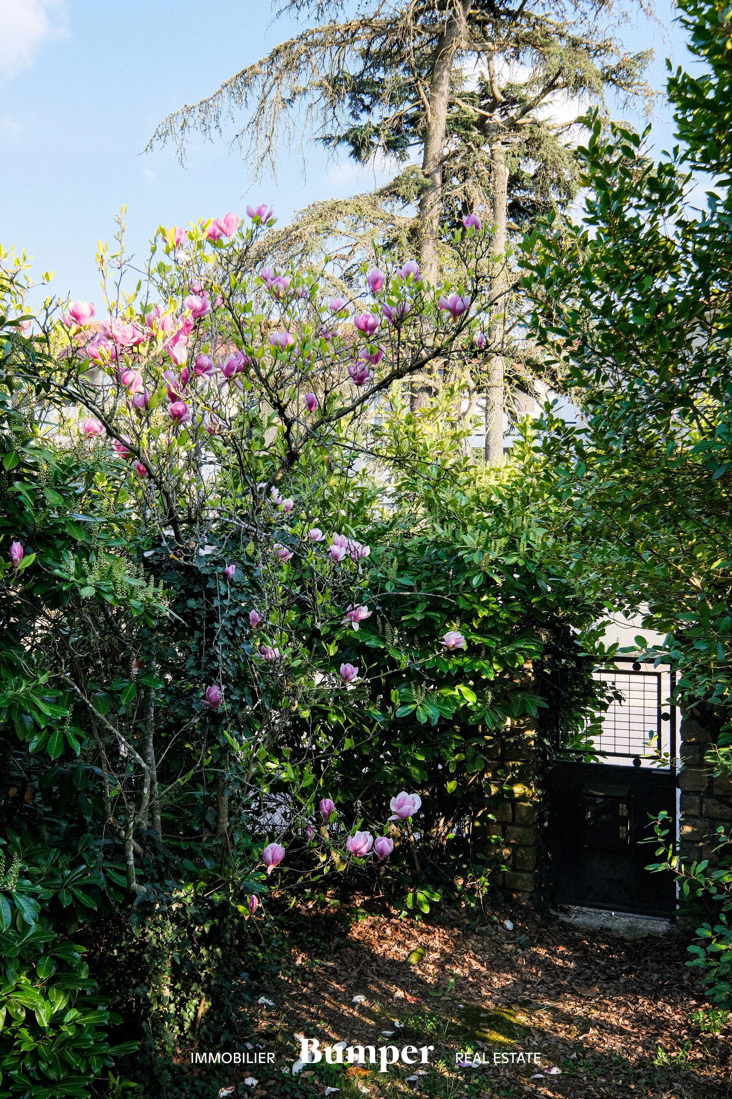 DSCF0361-1.jpg