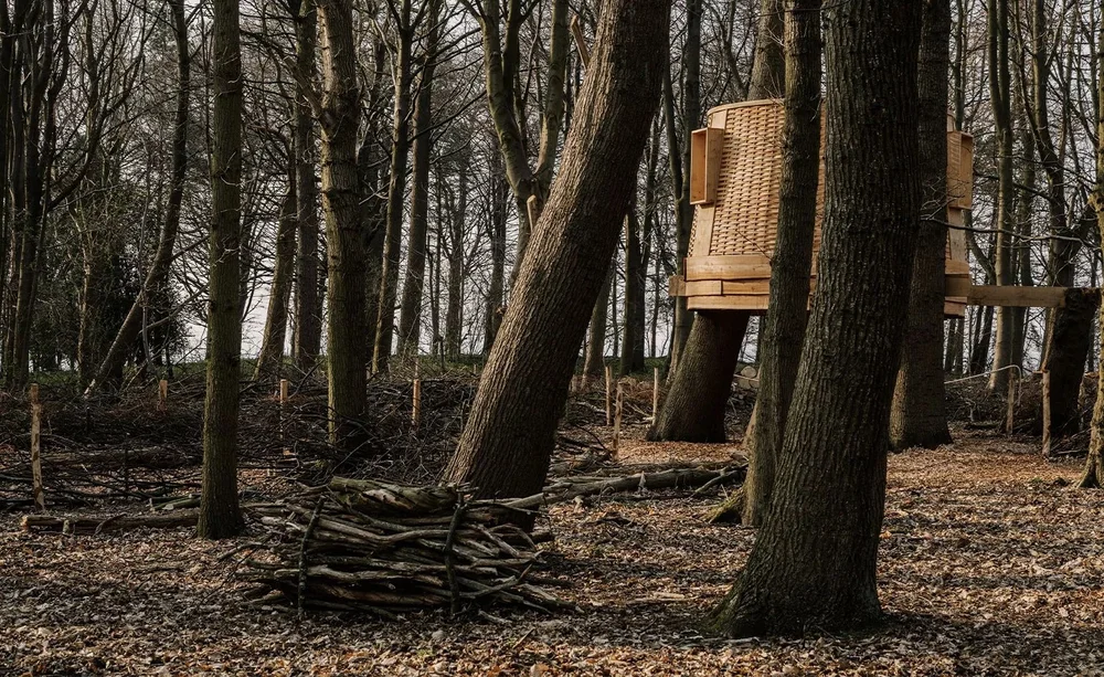 Everything you need to know about getting a treehouse built — Root and ...