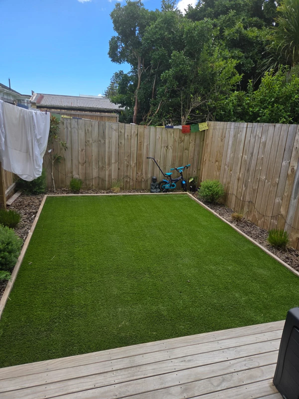 WhatsApp Image 2026-02-11 at 10.29.26 PM (2).jpeg