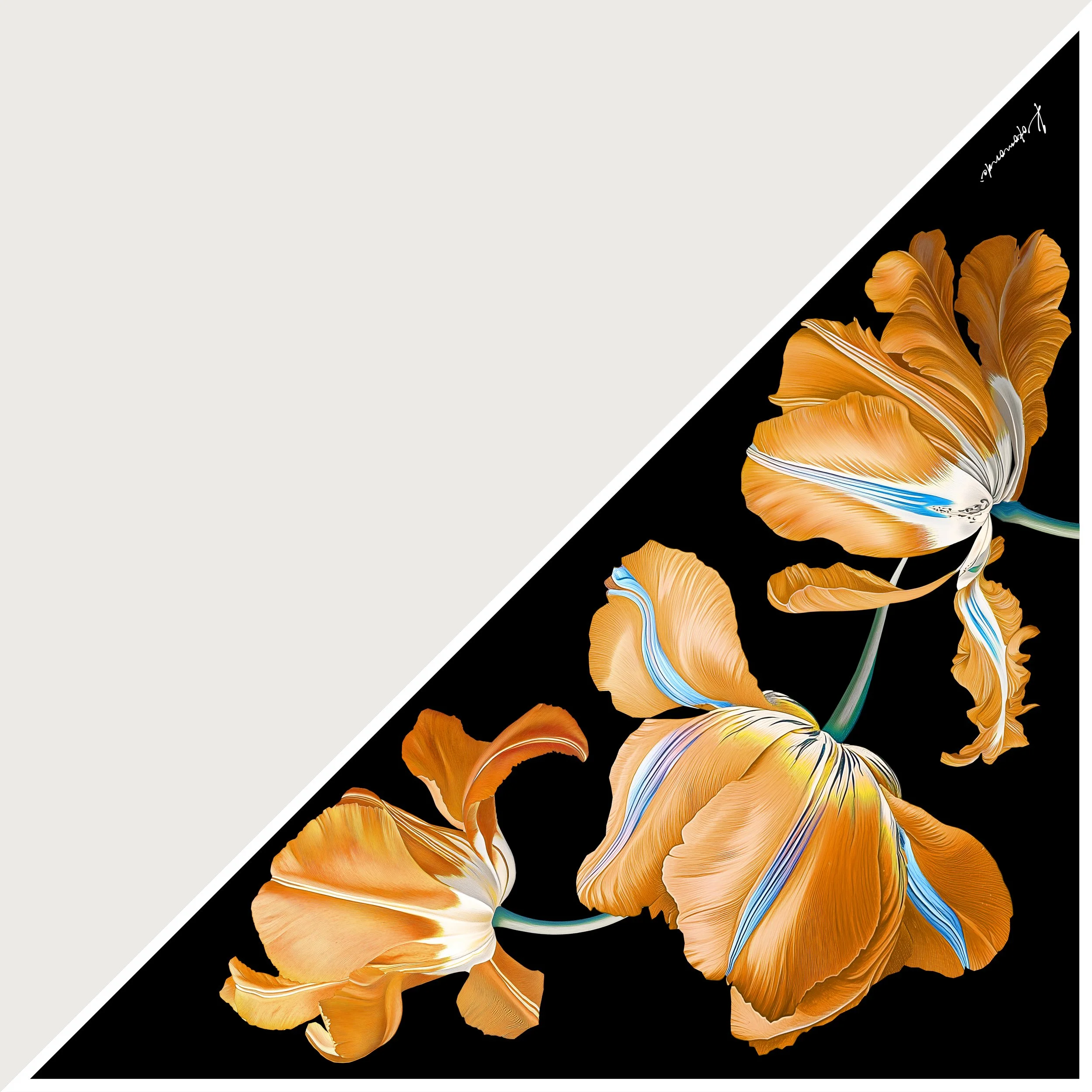 TULIPE-KIDS-Marigold-2.jpg