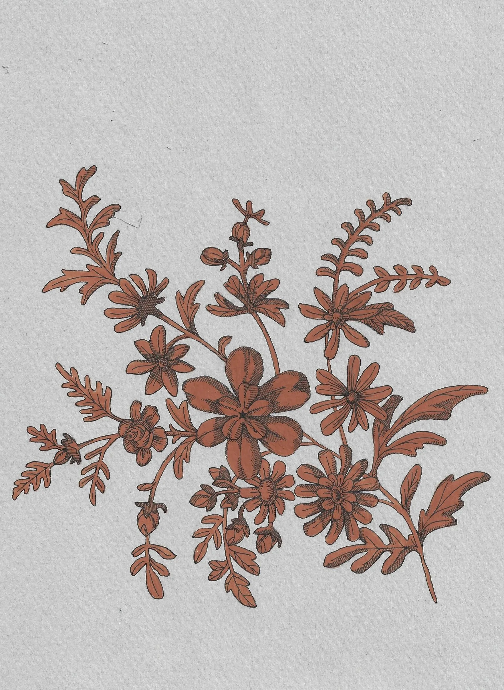 Illustration of various brown plants and flowers on a light gray background.