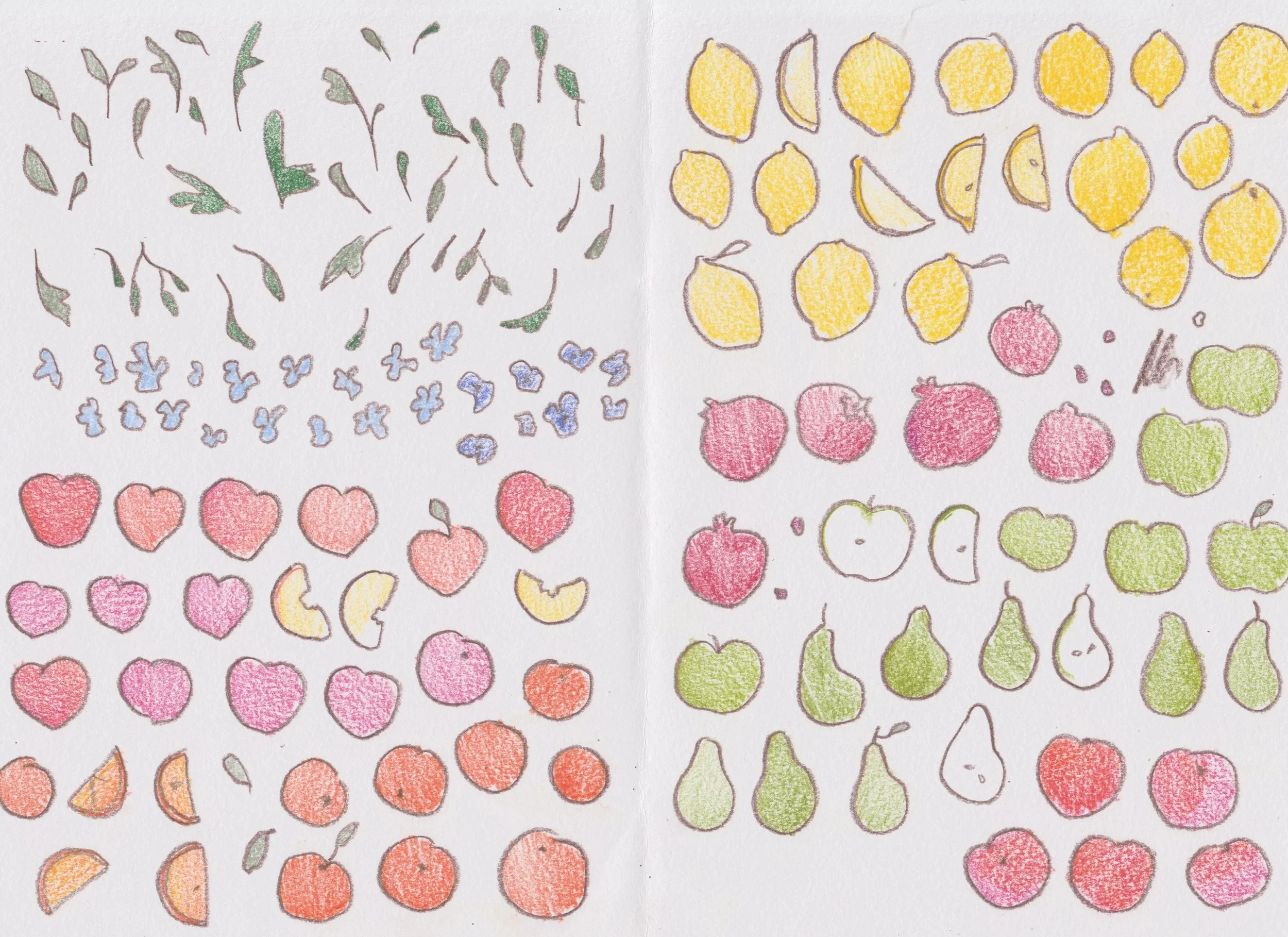 Colorful hand-drawn illustrations of various fruits organized in rows. The fruits include lemons, pomegranates, apples, pears, and peaches, colored with colored pencils.