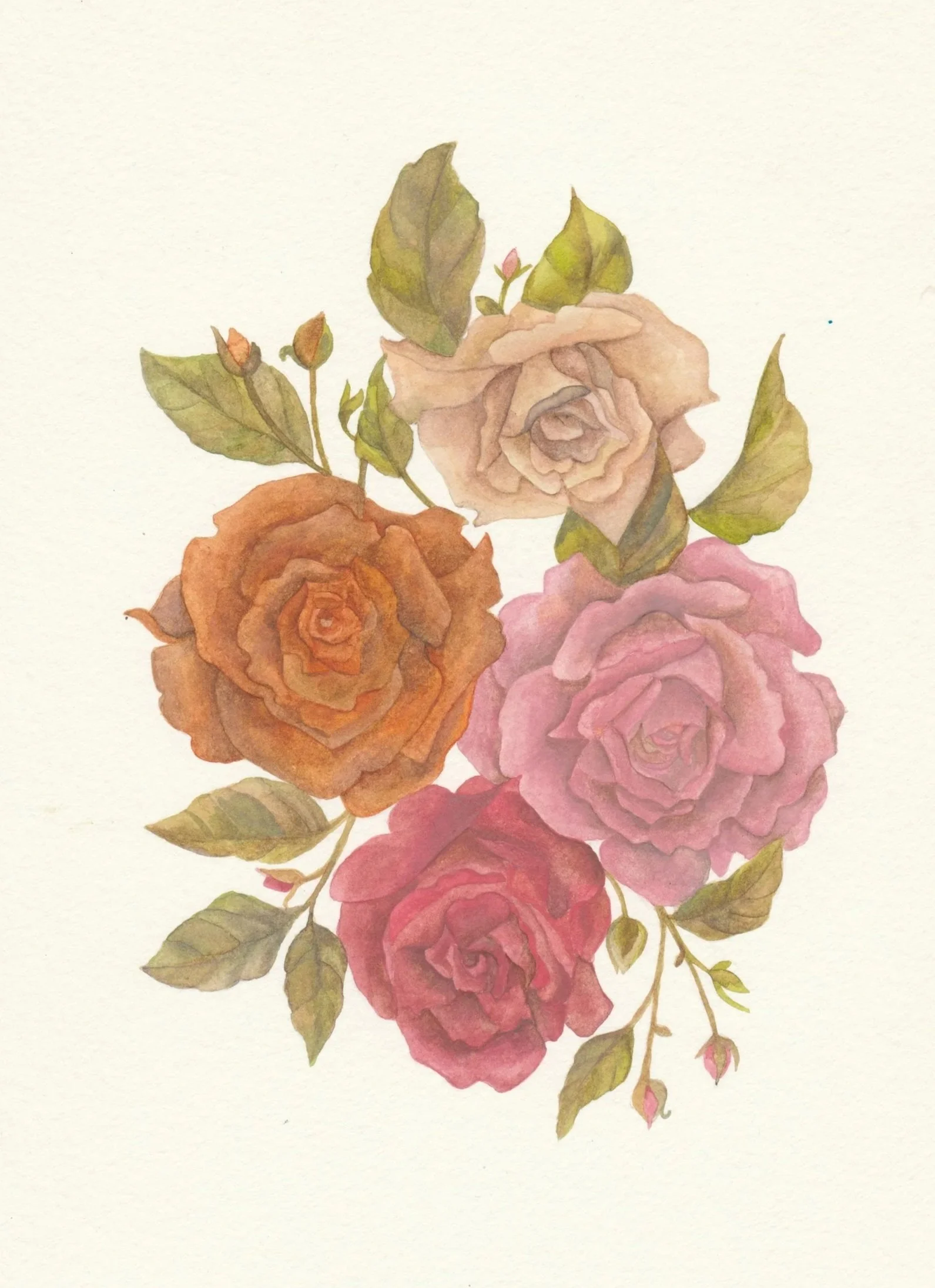Watercolor painting of five roses in shades of peach, orange, pink, and red with green leaves.