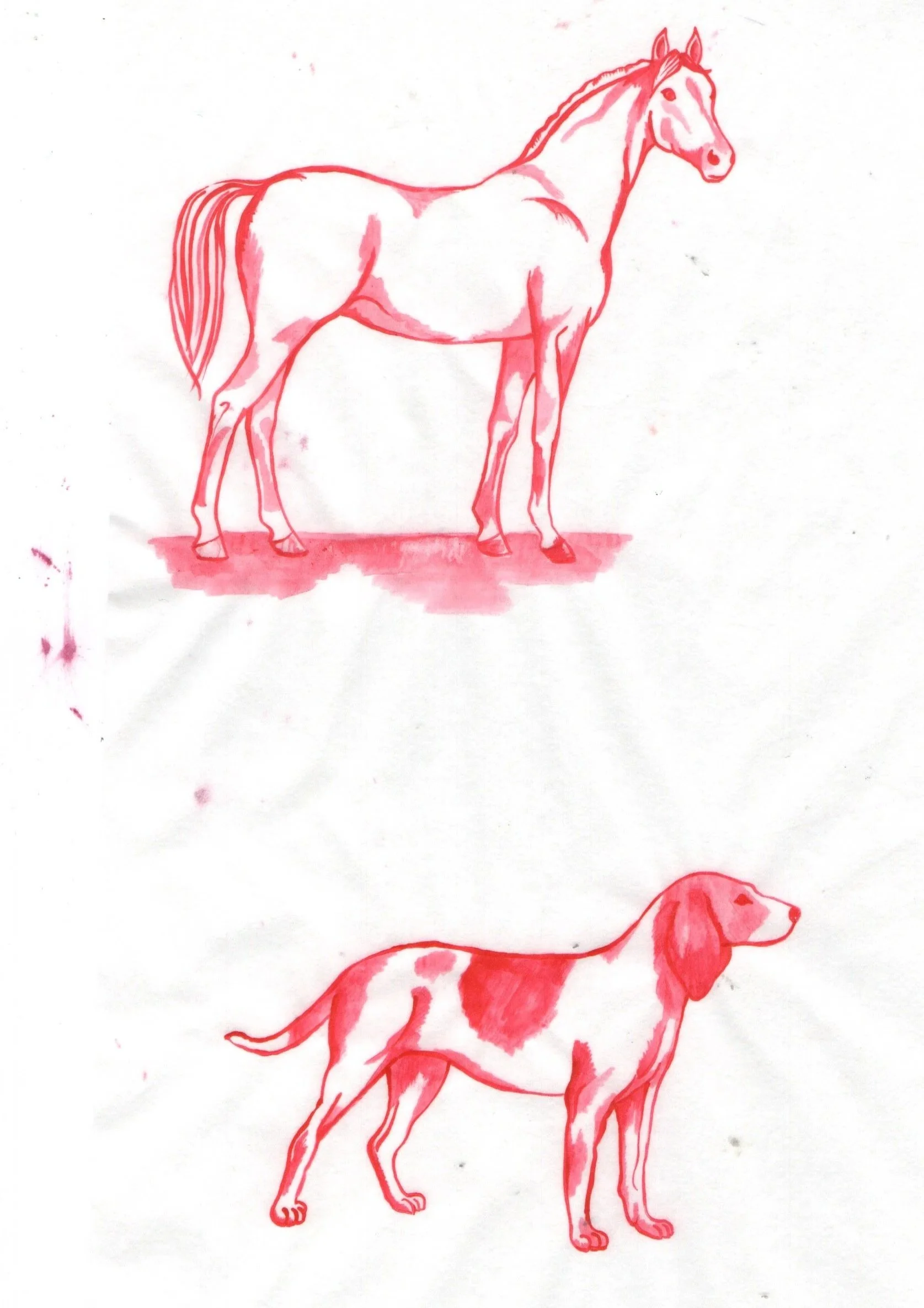 A drawing of a horse at the top and a dog at the bottom, both outlined in red with some shading.