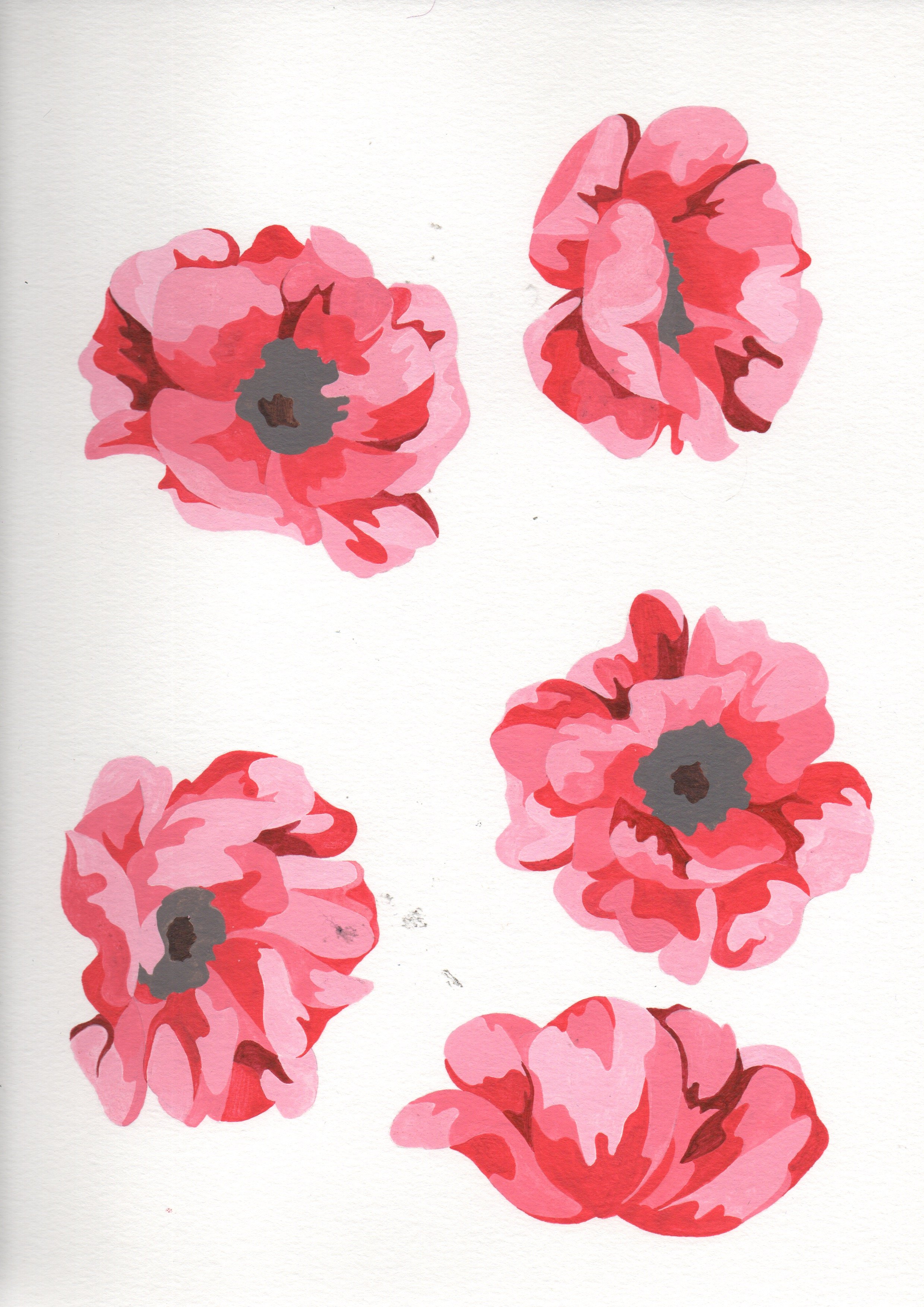 Six pink and red flower illustrations on white background.