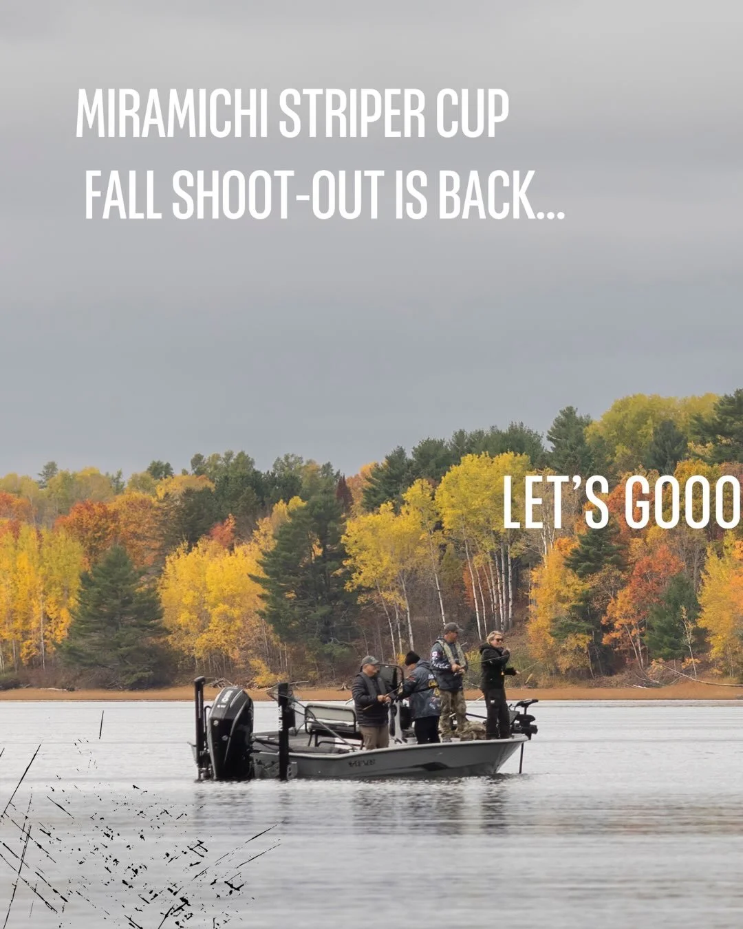 LET'S GOOOO!

The countdown is on! Just over a week until the Miramichi Striper Cup
Fall Shoot-Out takes over the water!

Who's ready?!

October 23&ndash;24, 2026
www.miramichistripercup.com

C'EST PARTIIII!

Le compte &agrave; rebours est lanc&eacut