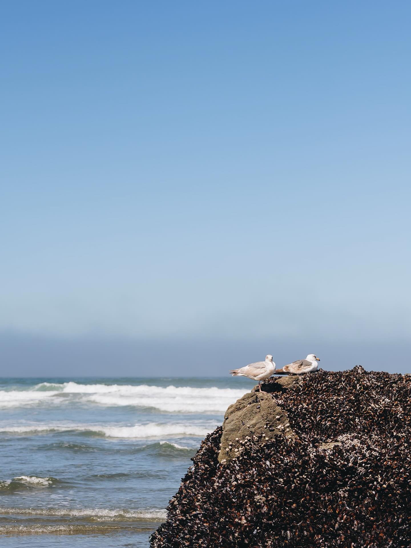 Bodega Bay