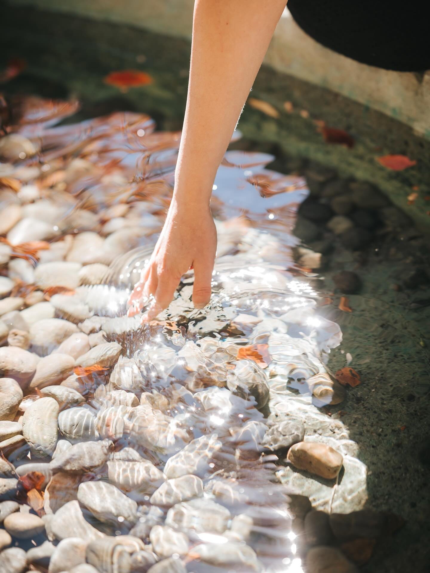 For the love of feminine ✨