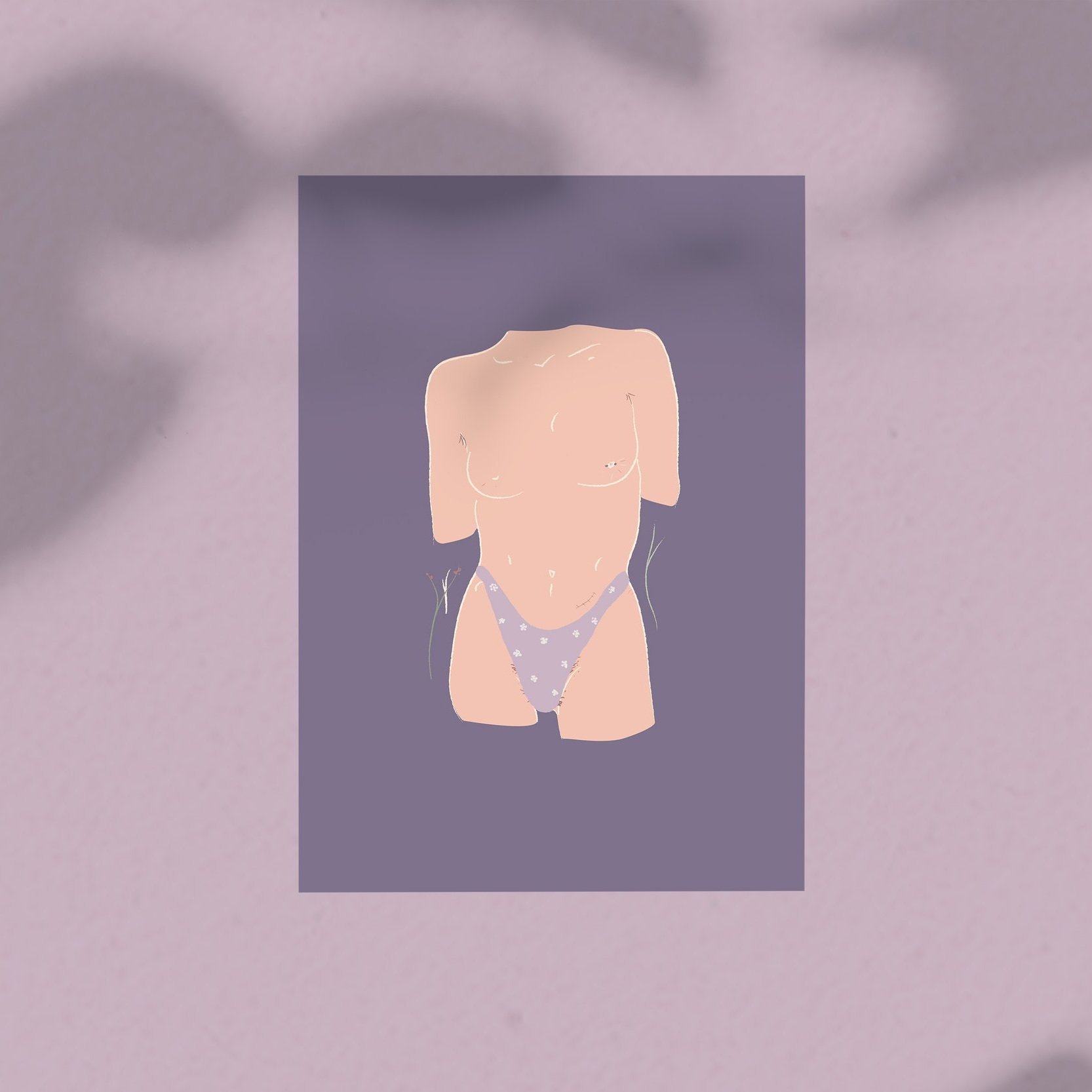 molly_.jpg