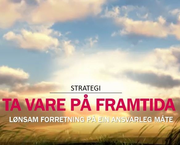 Skal vi ha ein berekraftsstrategi eller ein berekraftig strategi?