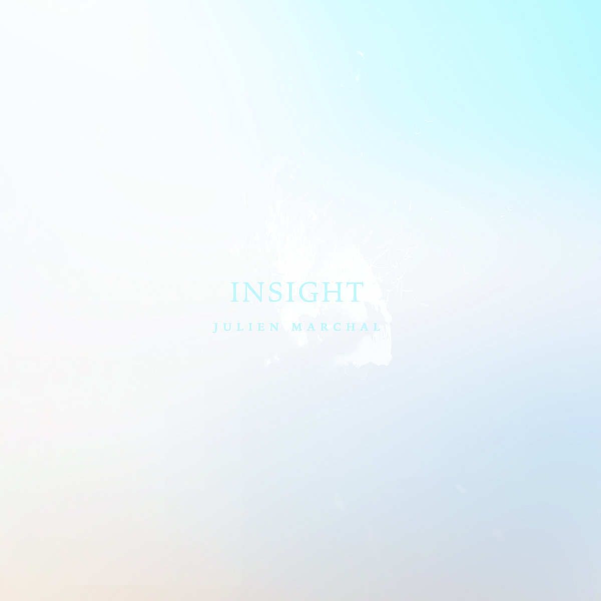 INSIGHT I
