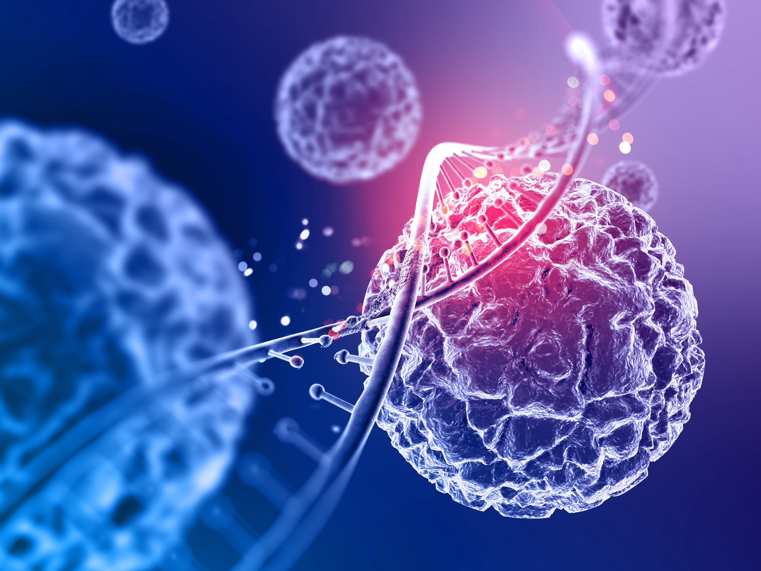 What is NAD+?