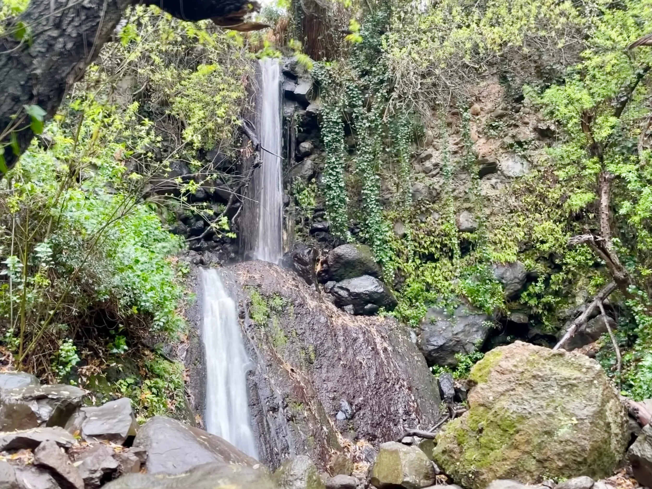 Barranco de los Cernicalos /2