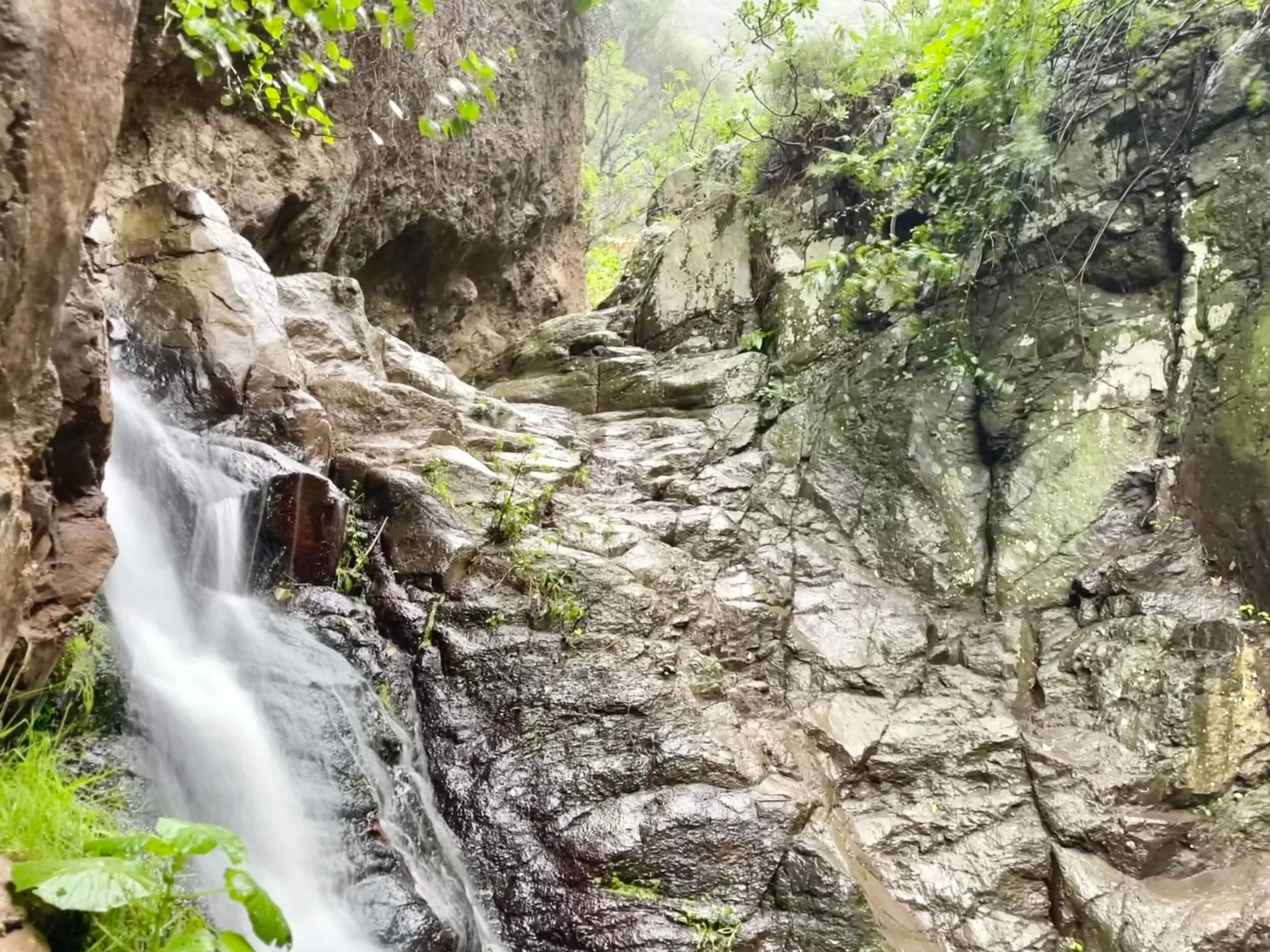 Barranco de los Cernicalos /5