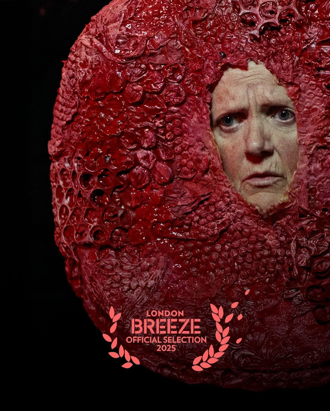 🎥 Incredibly proud to announce @eggtimerfilm will be screening at the 10th anniversary of BIFA qualifying @londonbreezefilmfestival at @thegardencinema on the 22nd October!! 🍿
Established in 2016 to showcase award winning films from around the w