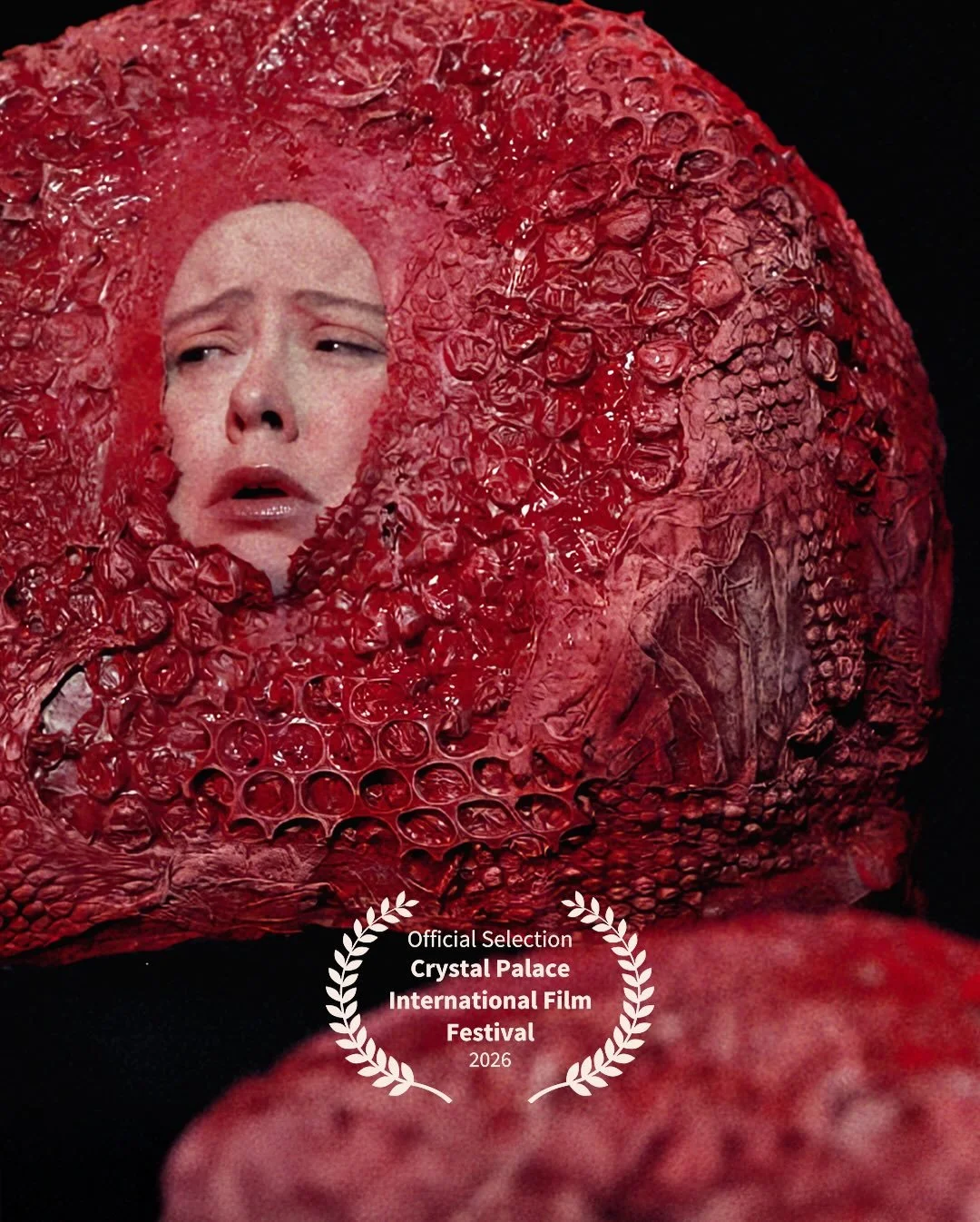 🌟 We&rsquo;ve been busy! We&rsquo;re back with not 1 but 7 upcoming screenings of @eggtimerfilm as well as 2 nominations 🌟 

🥚 First up it&rsquo;s @crystalpalacefilmfestival on the 14.03 at 7pm at the @everymancinema - still a few tickets left go 