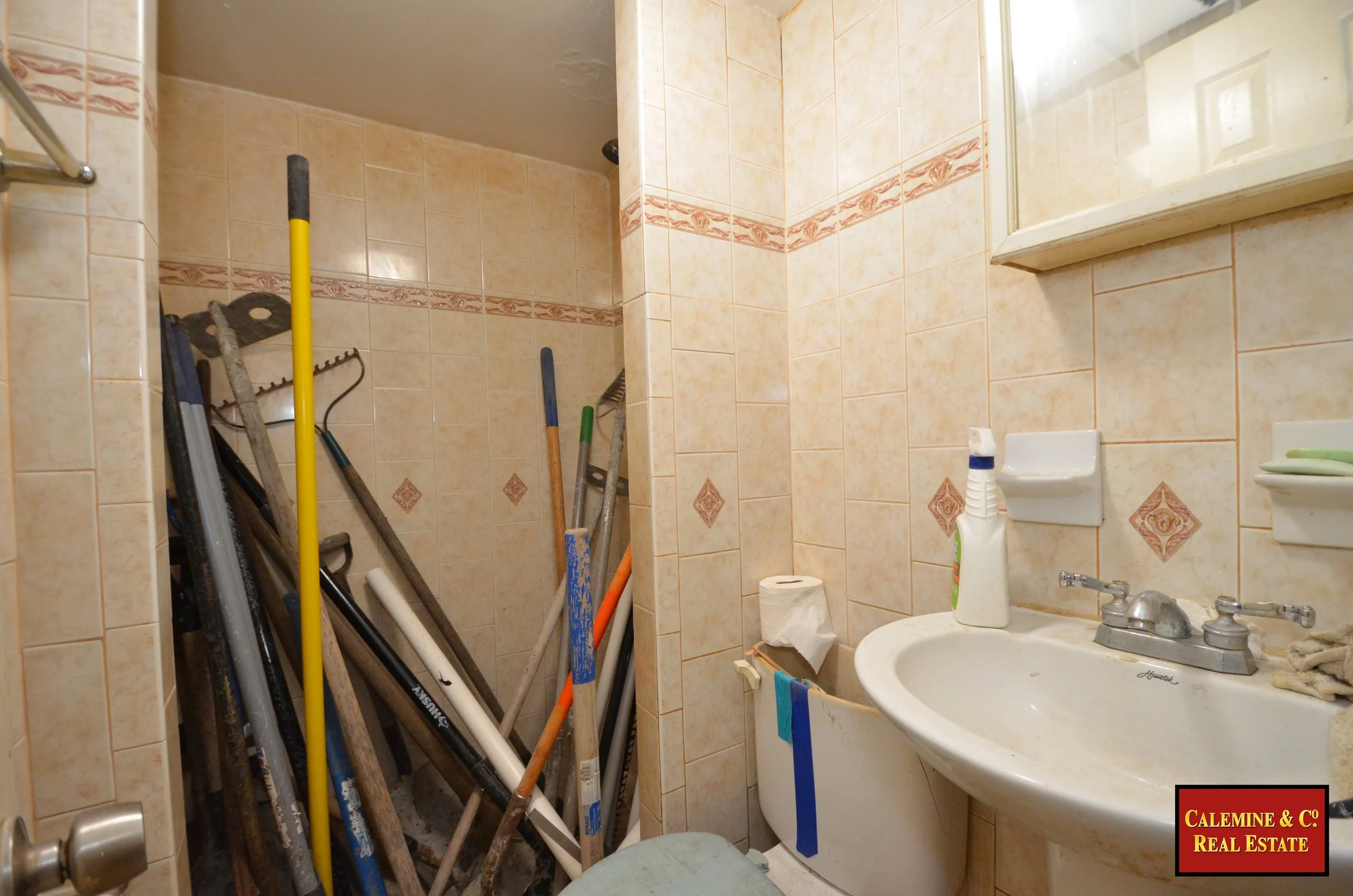 2075FlatbushAve. Clemine logoWM39.jpg