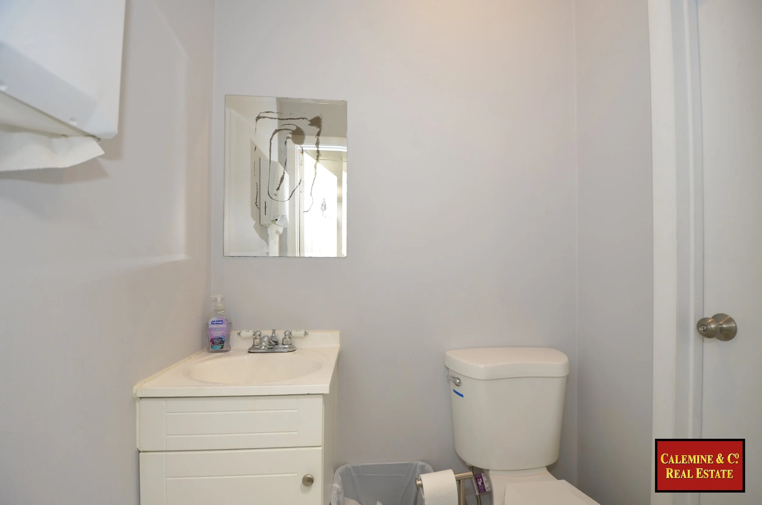 2075FlatbushAve. Clemine logoWM28.jpg