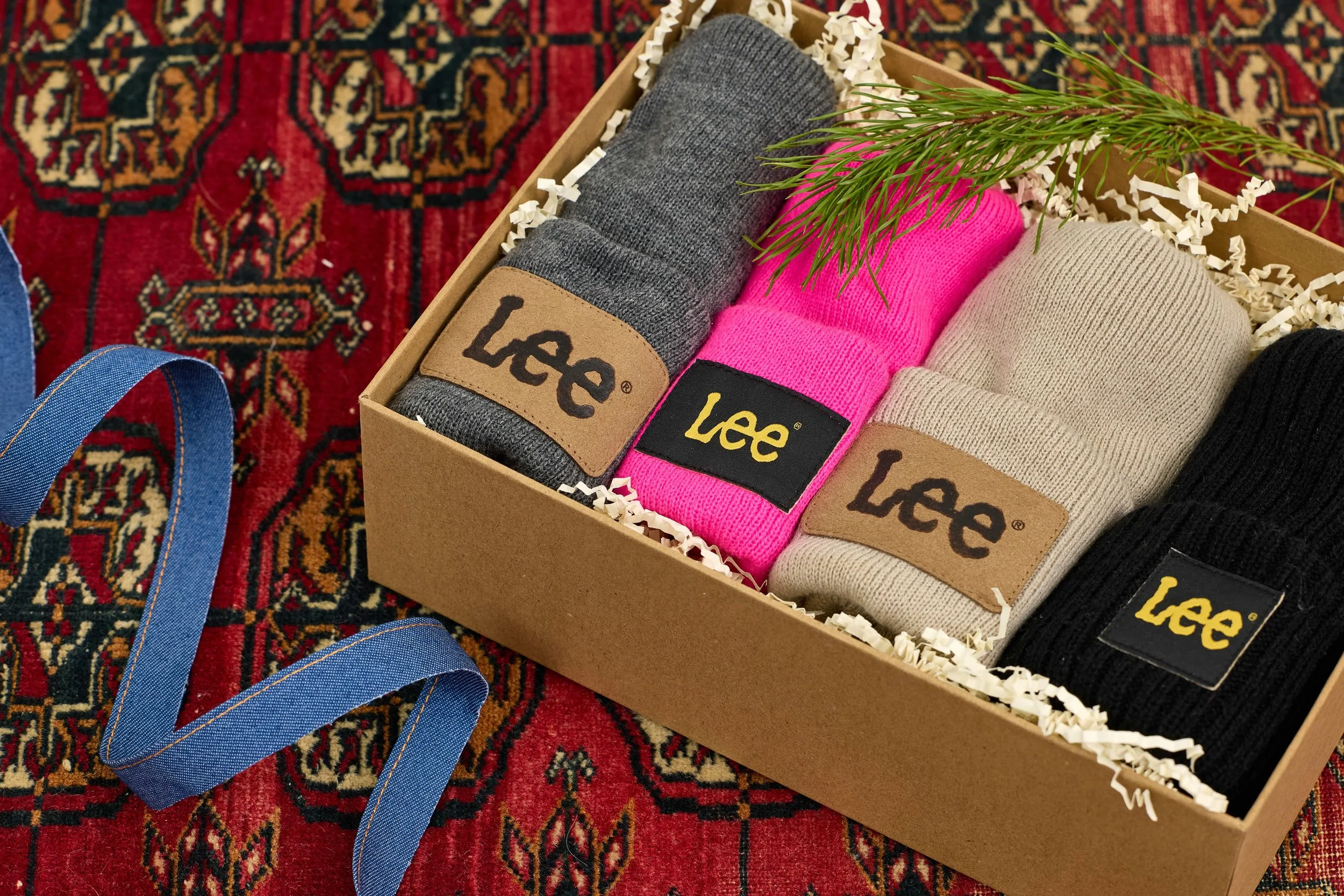 SHOT random_LF01_LEO_41203.jpeg