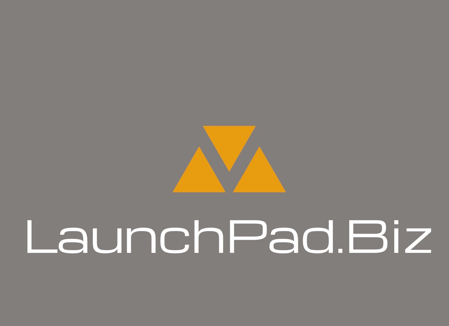The LaunchPad.Biz