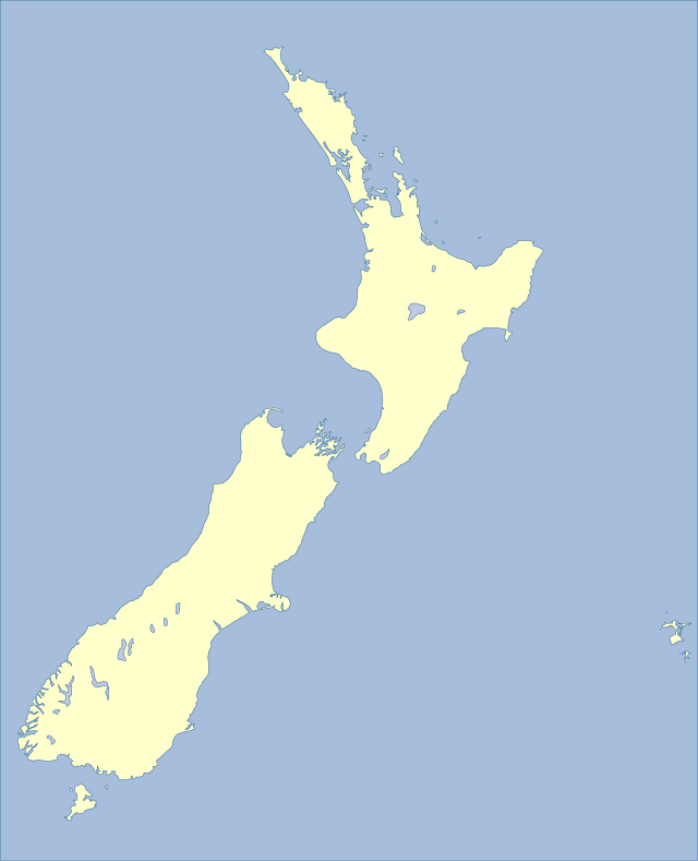 New Zealand punches above its weight