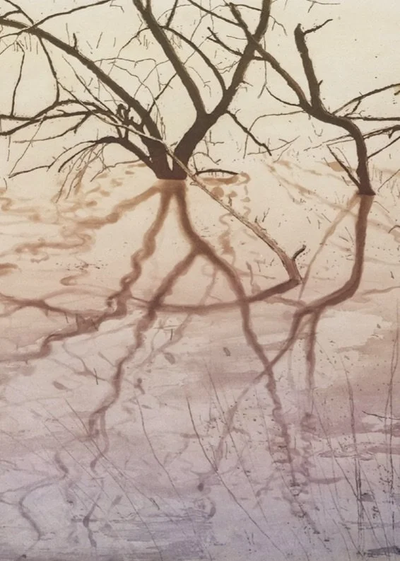 Emotions, exposition estampe contemporaine Mairie du 6e, Paris, du 20 novembre au 10 décembre 2025