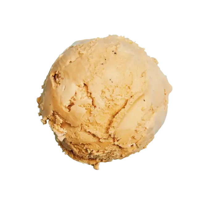 EKOLOGISK MOCCA