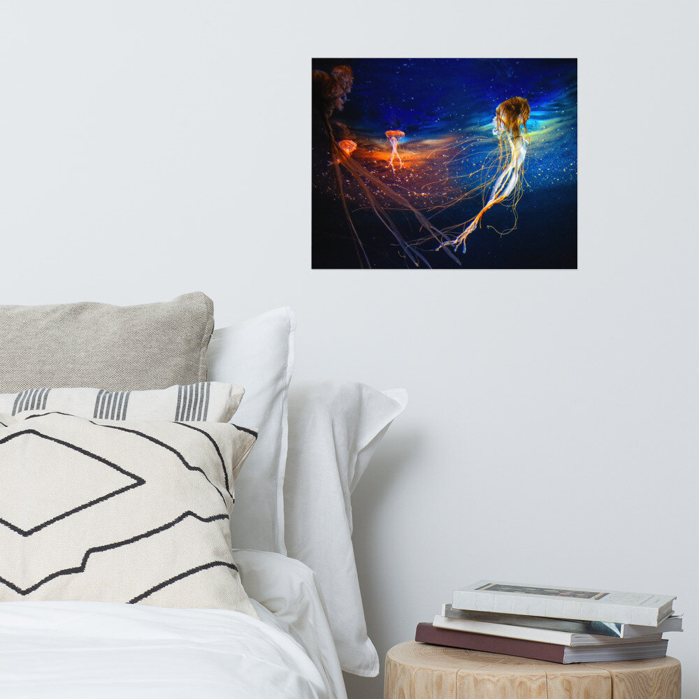 enhanced-matte-paper-poster-(in)-16x20-front-6082ba64bf55f.jpg