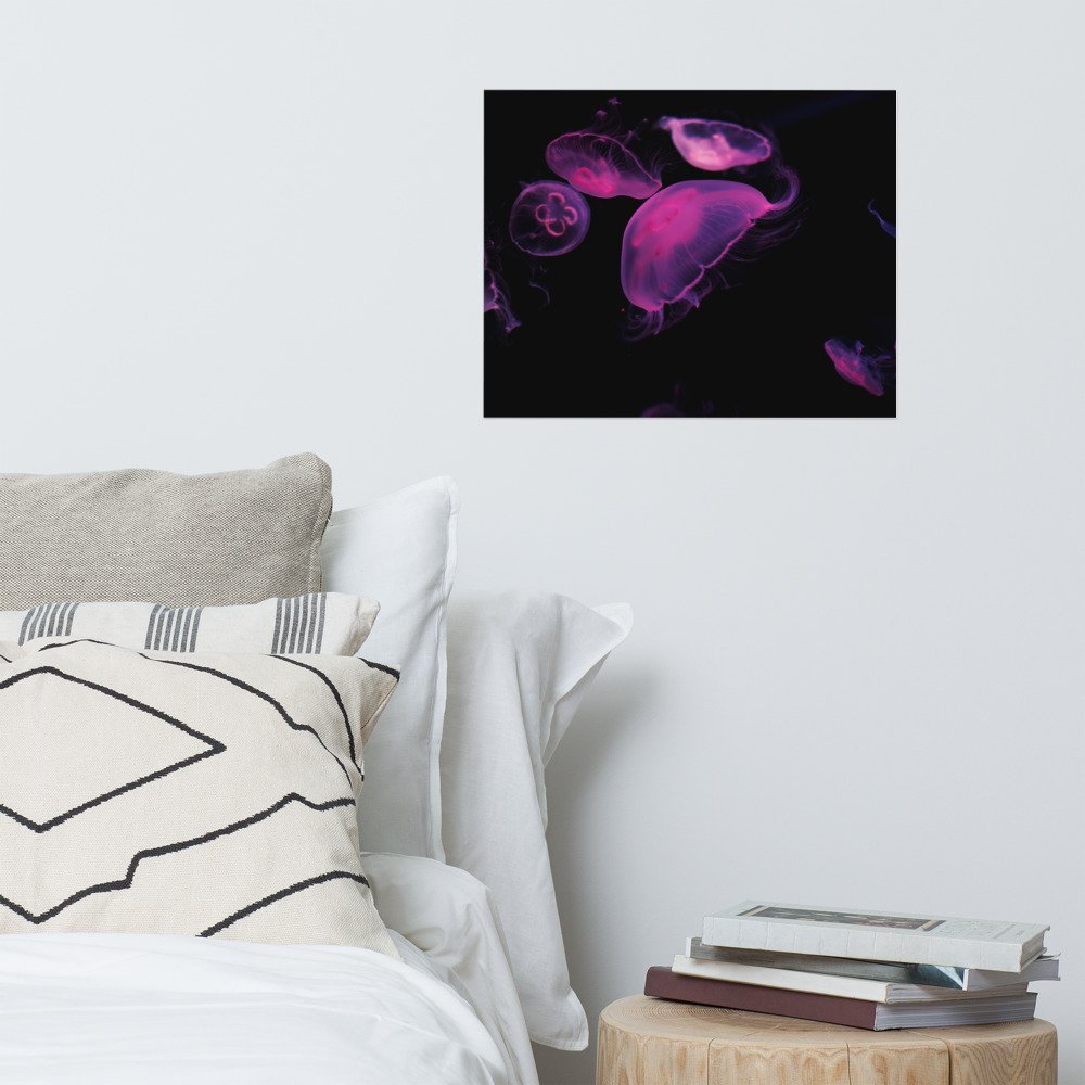 enhanced-matte-paper-poster-(in)-16x20-front-628227e77a3cf.jpg