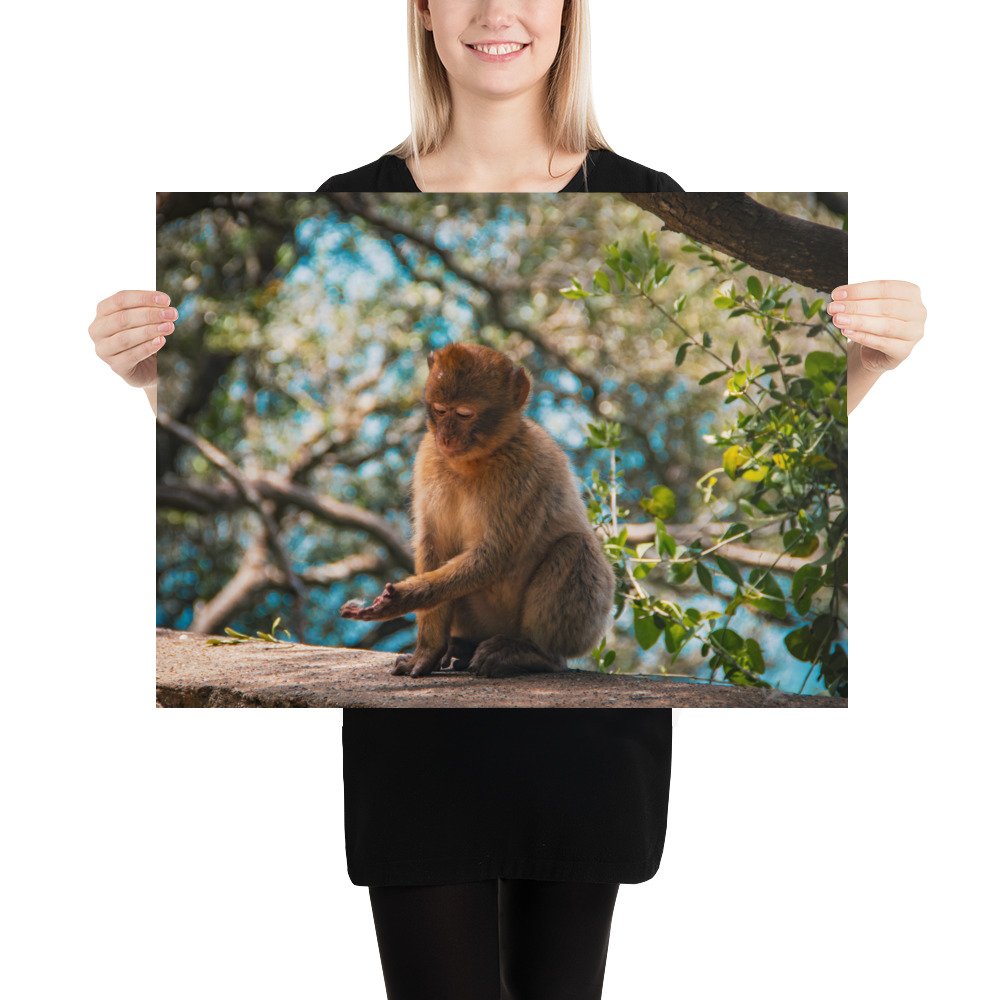 enhanced-matte-paper-poster-(in)-18x24-person-64450afb948d9.jpg
