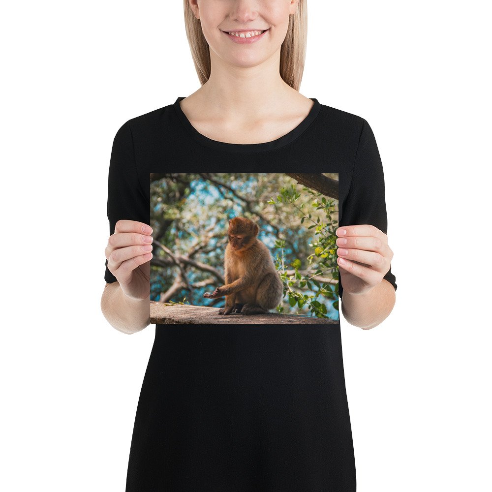 enhanced-matte-paper-poster-(in)-8x10-person-64450afb957da.jpg