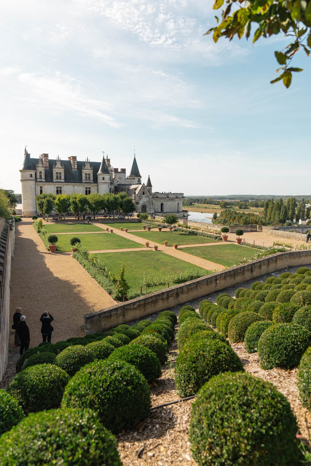 Château Royal d'Amboise - from the gardens.jpg