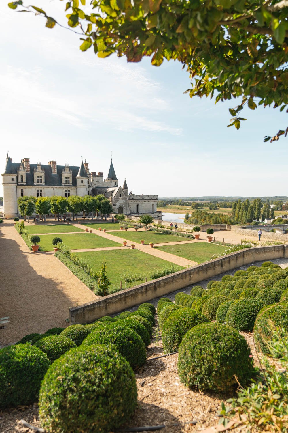 Château Royal d'Amboise - from the gardens 2.jpg