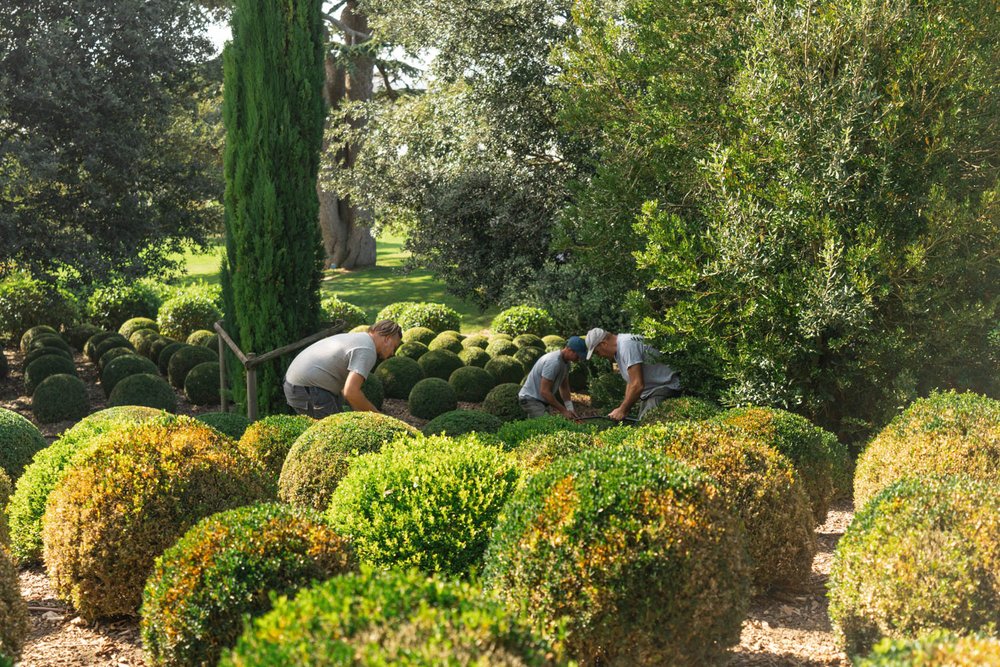 Château Royal d'Amboise - the gardeners.jpg