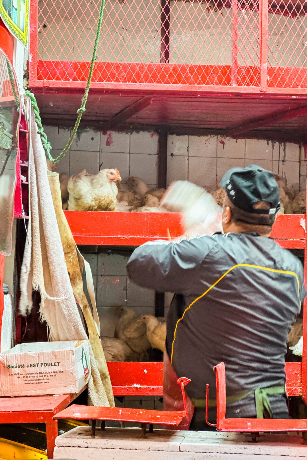 Chickens in the Market.jpg
