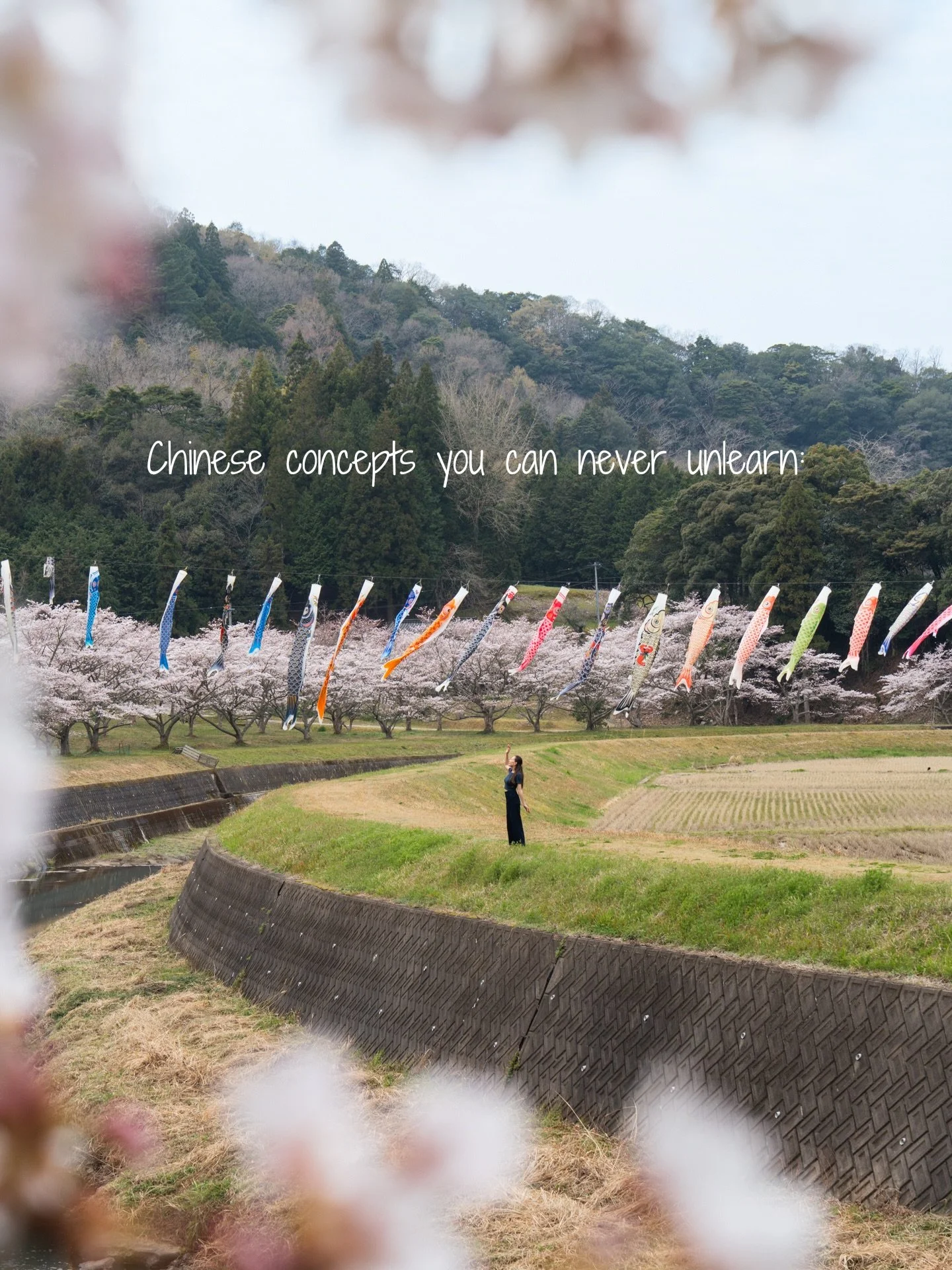 ancient chinese wisdom ft. spring in japan 🌸🤍⛩️

just completing a week-long road trip in southern japan and cannot believe how beautiful it is here. feel so blessed to live in one of my favorite places on earth. 

which one resonates with you the 
