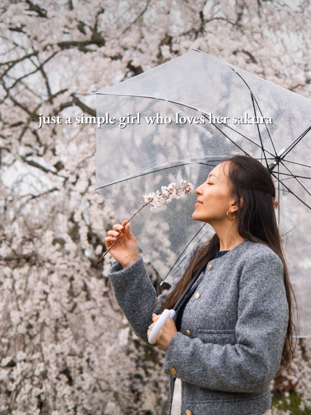 just me and my sakura obsession 🤍🌸🌱

first 📷: @itchban 

#sakura #japan 
.
.
.
.
.
#flowers #hanami cherryblossoms