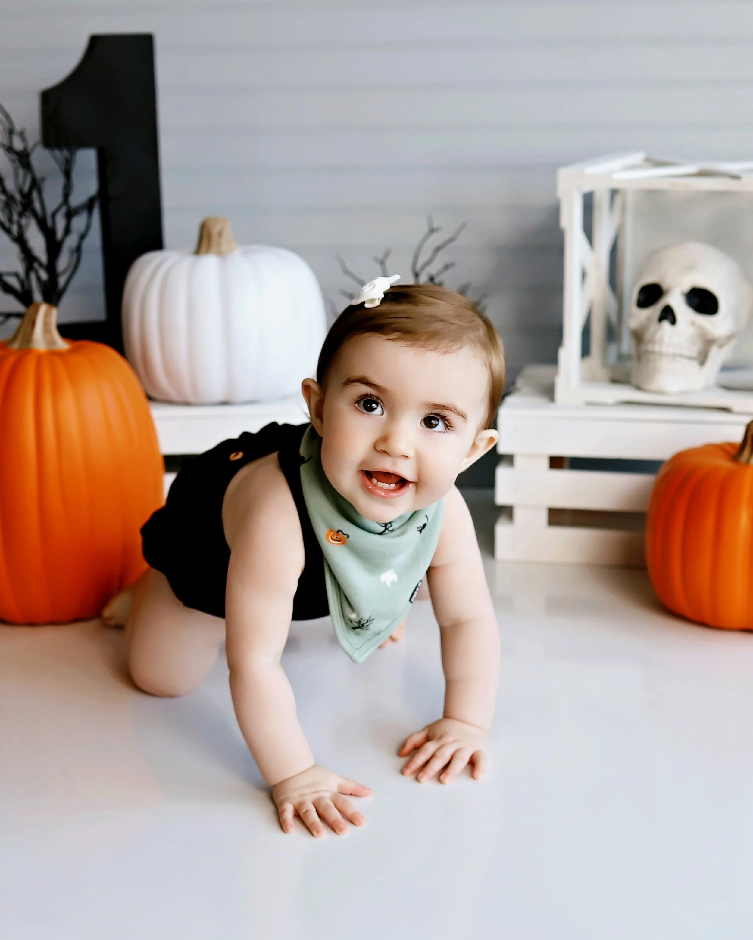 Spooky One First Birthday Session - Christopher Illinois