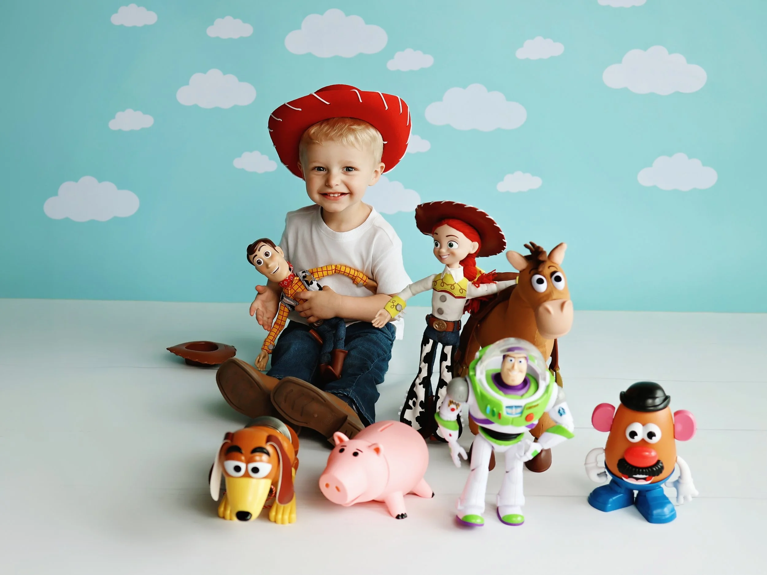 toy-story-second-birthday-session-christopher-illinois.jpg