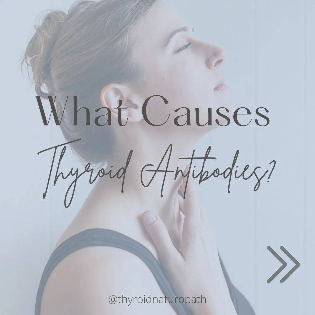 What Causes Thyroid Antibodies?

Lots of things!

Going gluten free isn't the full solution (or what I would suggest).

There are many contributing causes to thyroid antibodies.

Want to identify key thyroid antibody triggers and learn how to get sta