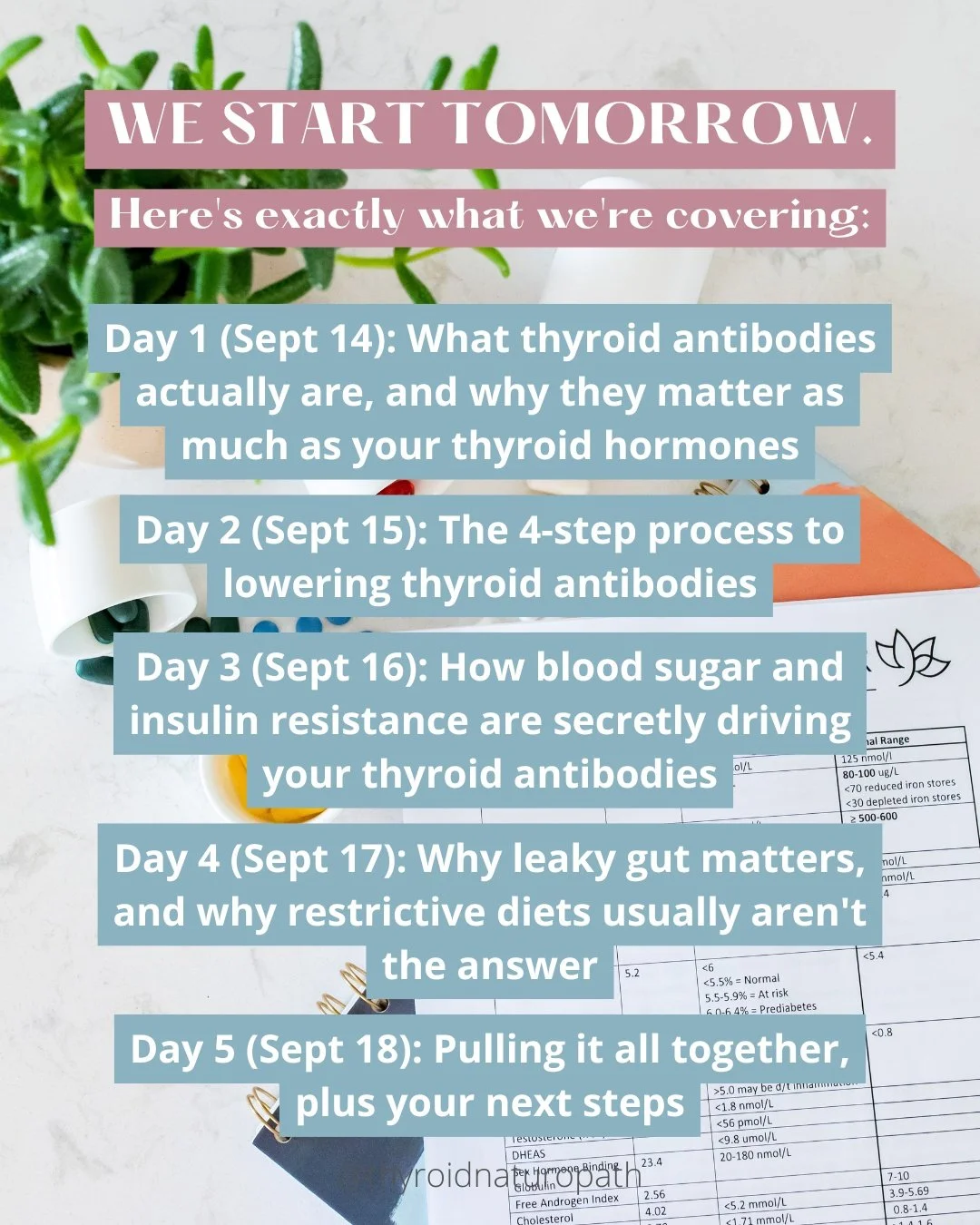 We start tomorrow. Here's exactly what we're covering:

Day 1 (Sept 14): What thyroid antibodies actually are, and why they matter as much as your thyroid hormones

Day 2 (Sept 15): The 4-step process to lowering thyroid antibodies

Day 3 (Sept 16): 