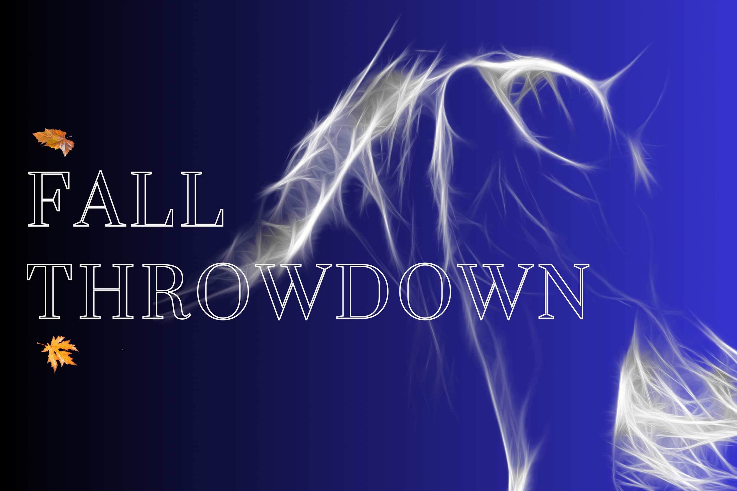 Fall Throwdown Horsemanship Challenge — NORTHWOOD FARMS