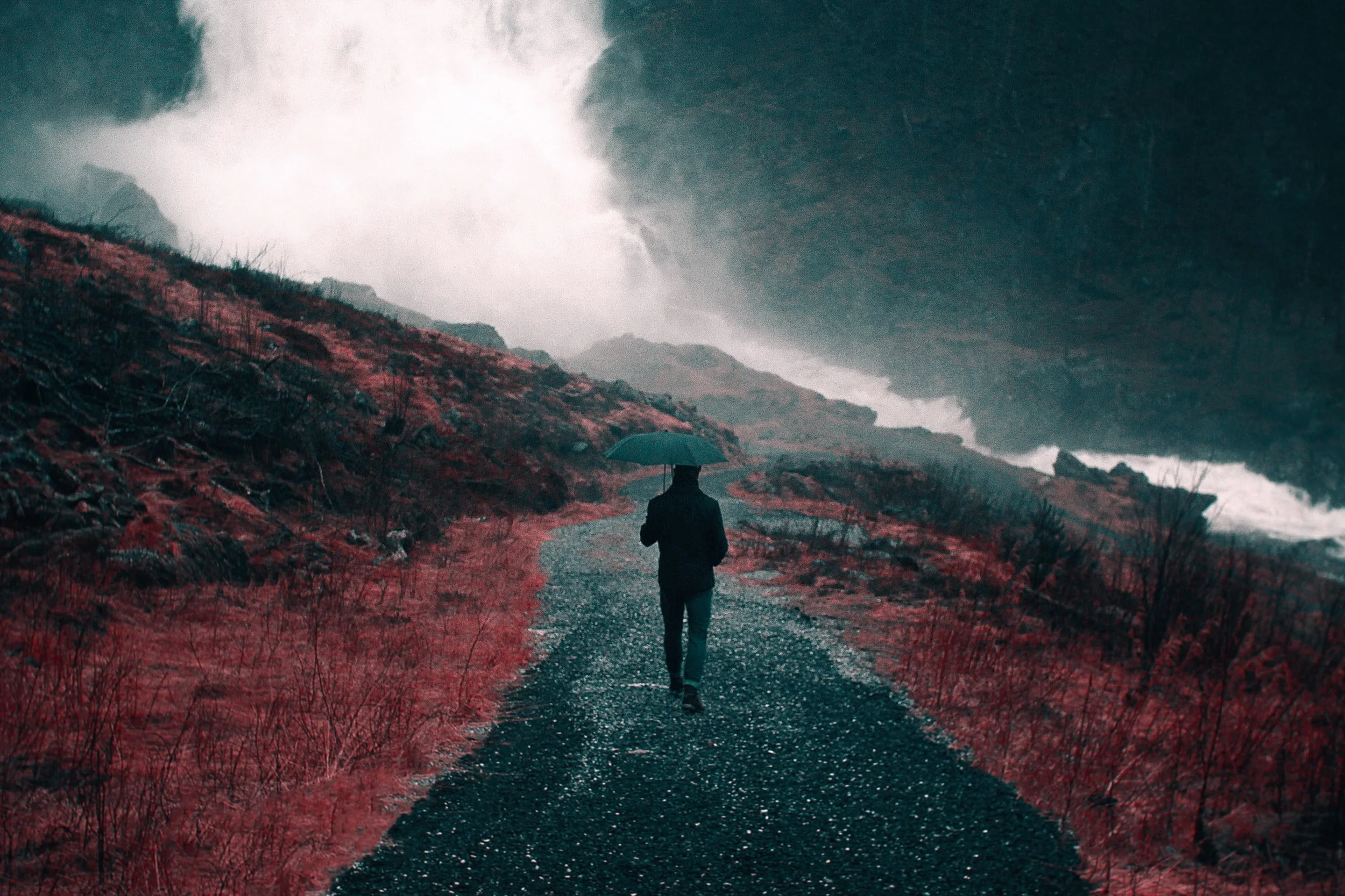 unsplash-image-soGoAfesWO8.jpg