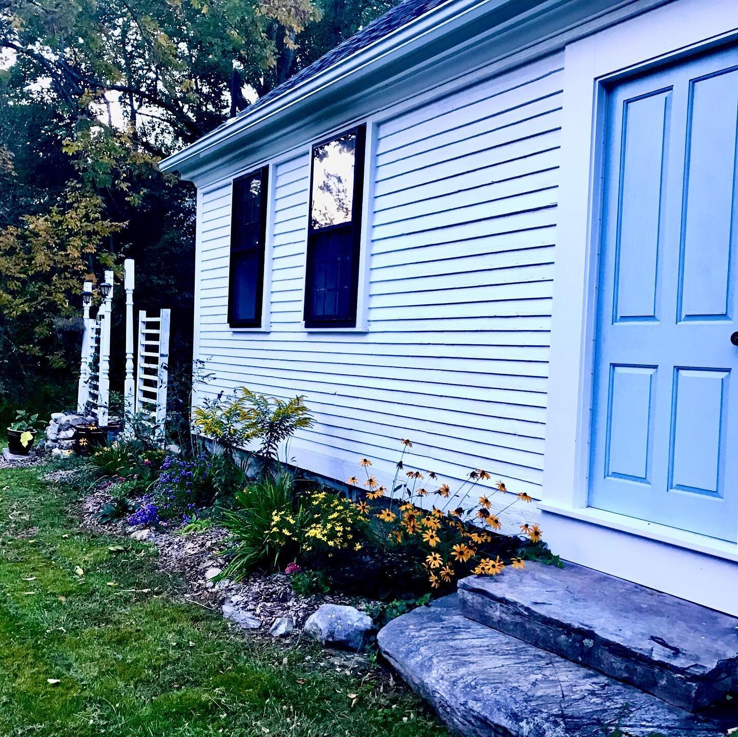 It took me 8 years but I figured out fall interest. Also, if mowing feels like a chore, grow a meadow! And finally, those trelliseseseses were once someone&rsquo;s front porch.
#antiquecape
#oldnewengland 
#meadow 
#fallinterest 
#craigslistgardening