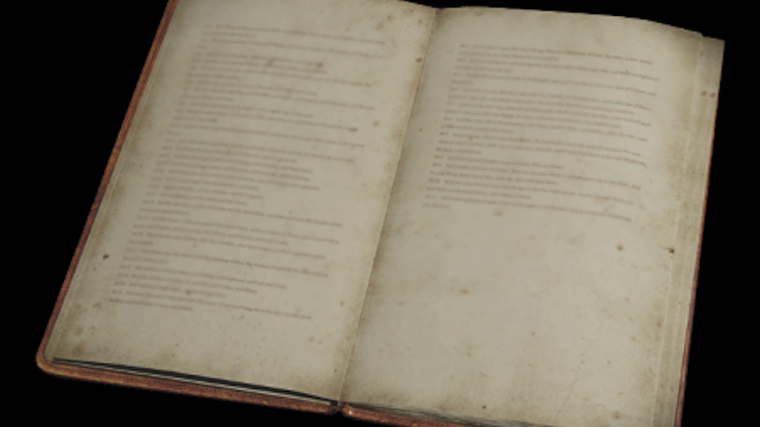 Resident Evil journals