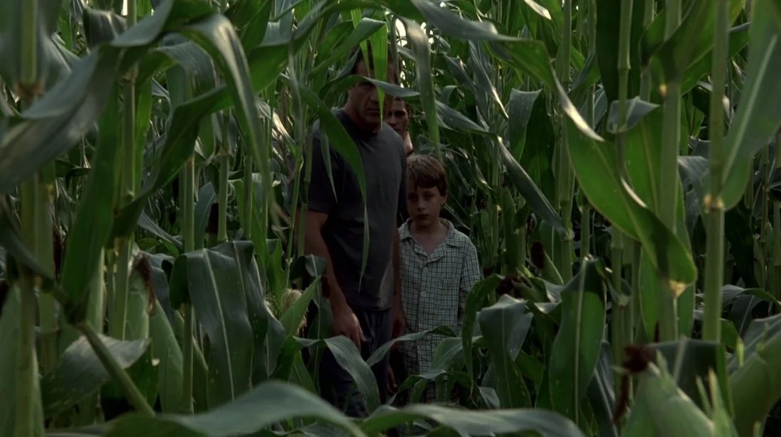 SIGNS (2002)
