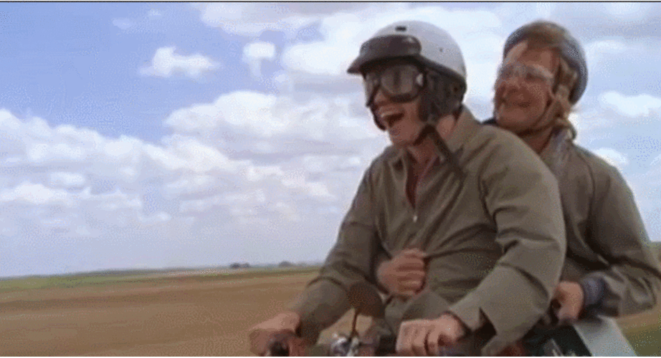 August 16 Gallivant Dumb and Dumber.gif