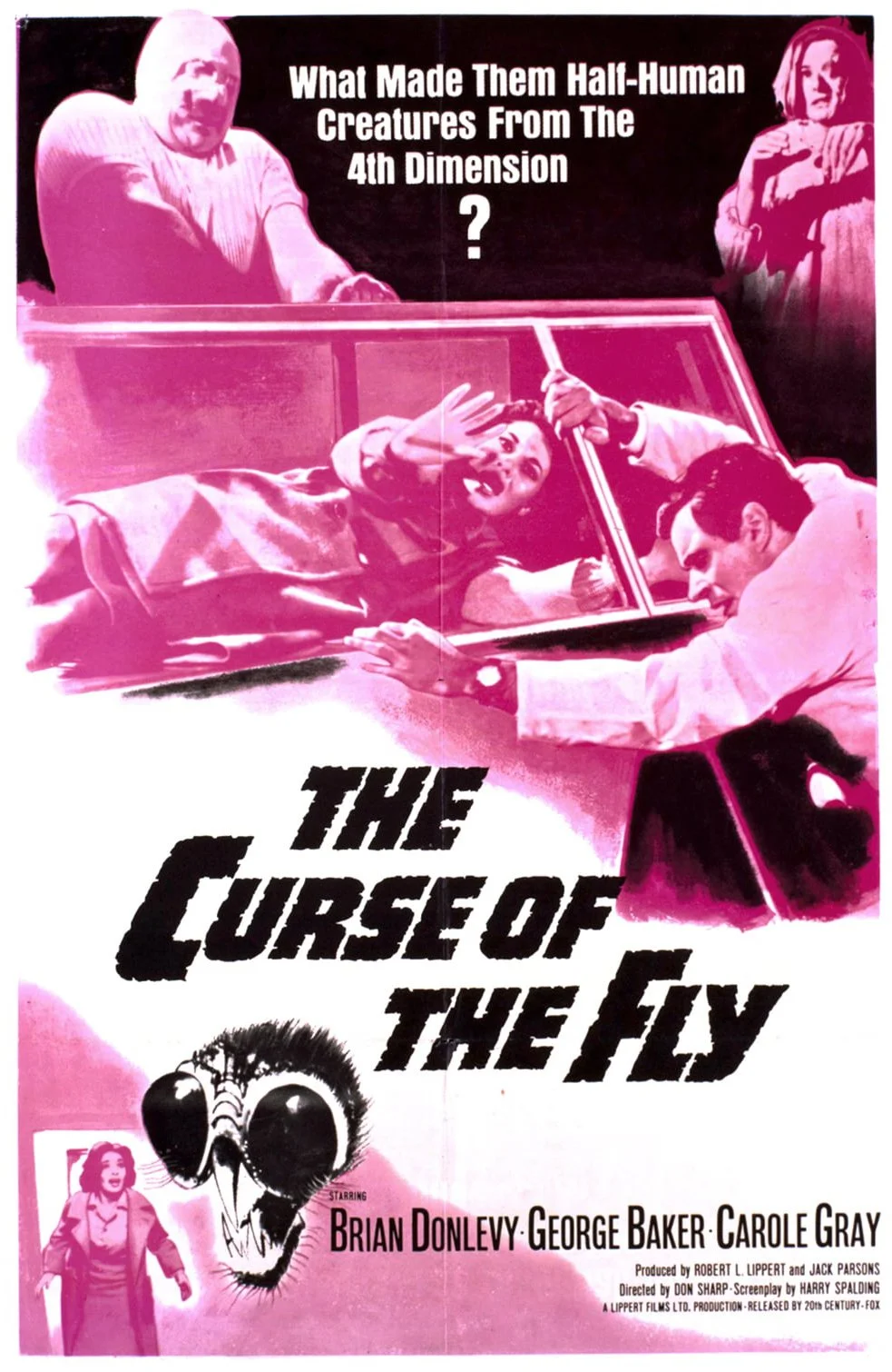 FLY 1965.jpg