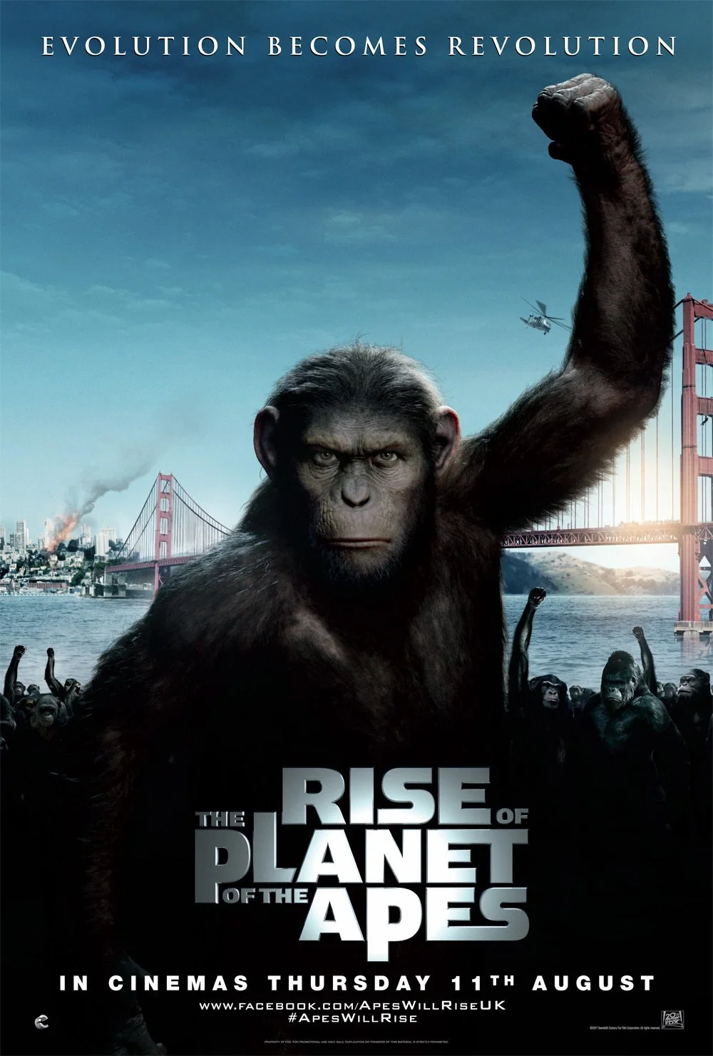 APES 2011.jpg