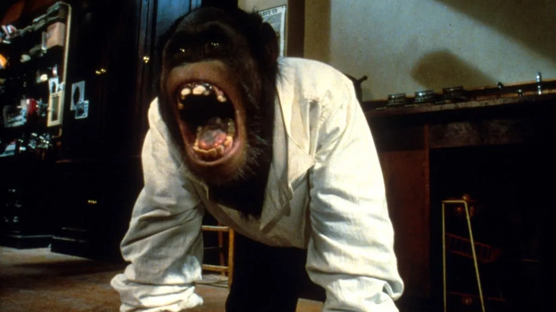 LINK (1986)